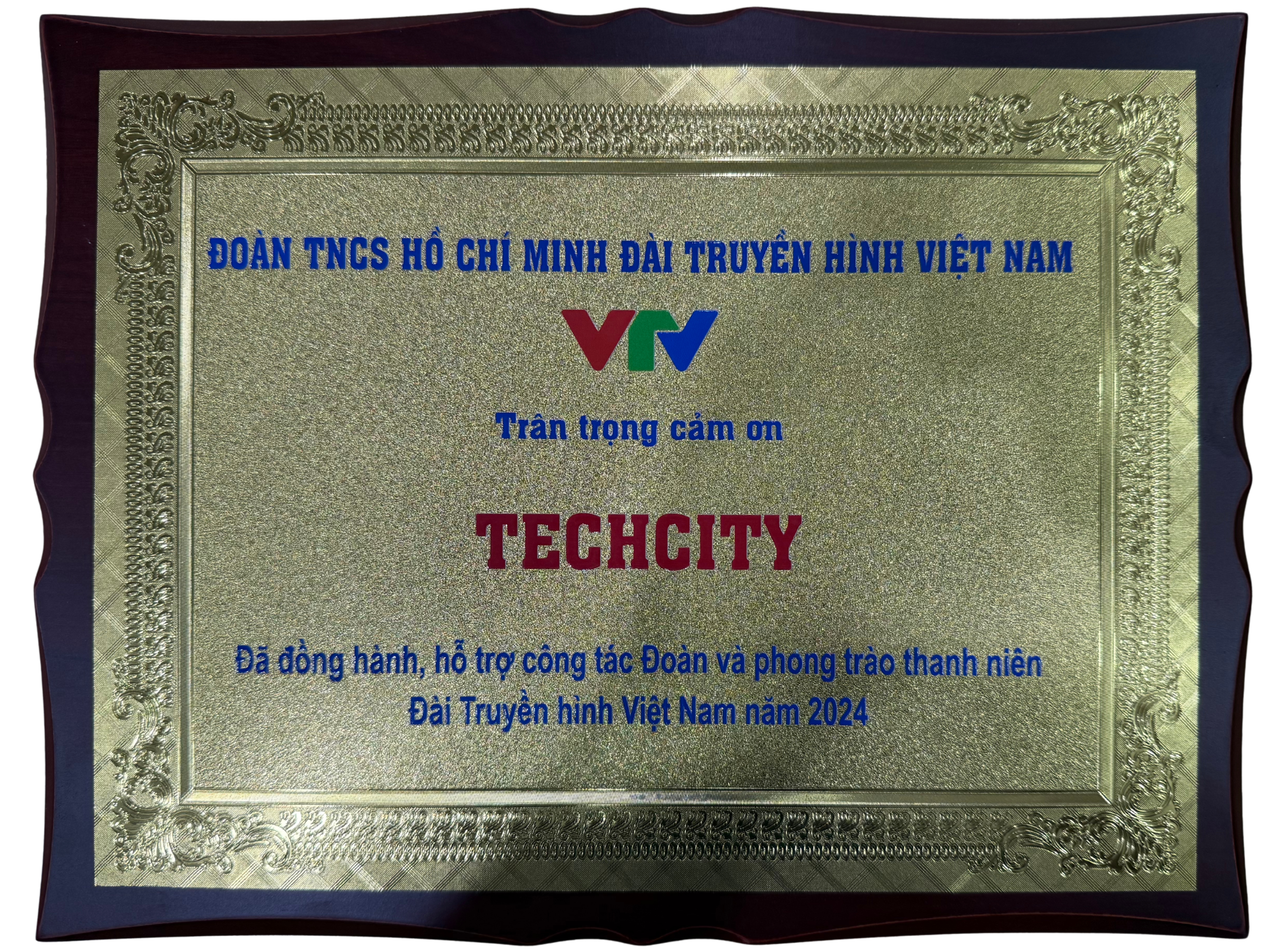 Kỷ niệm chương của VTV 2024