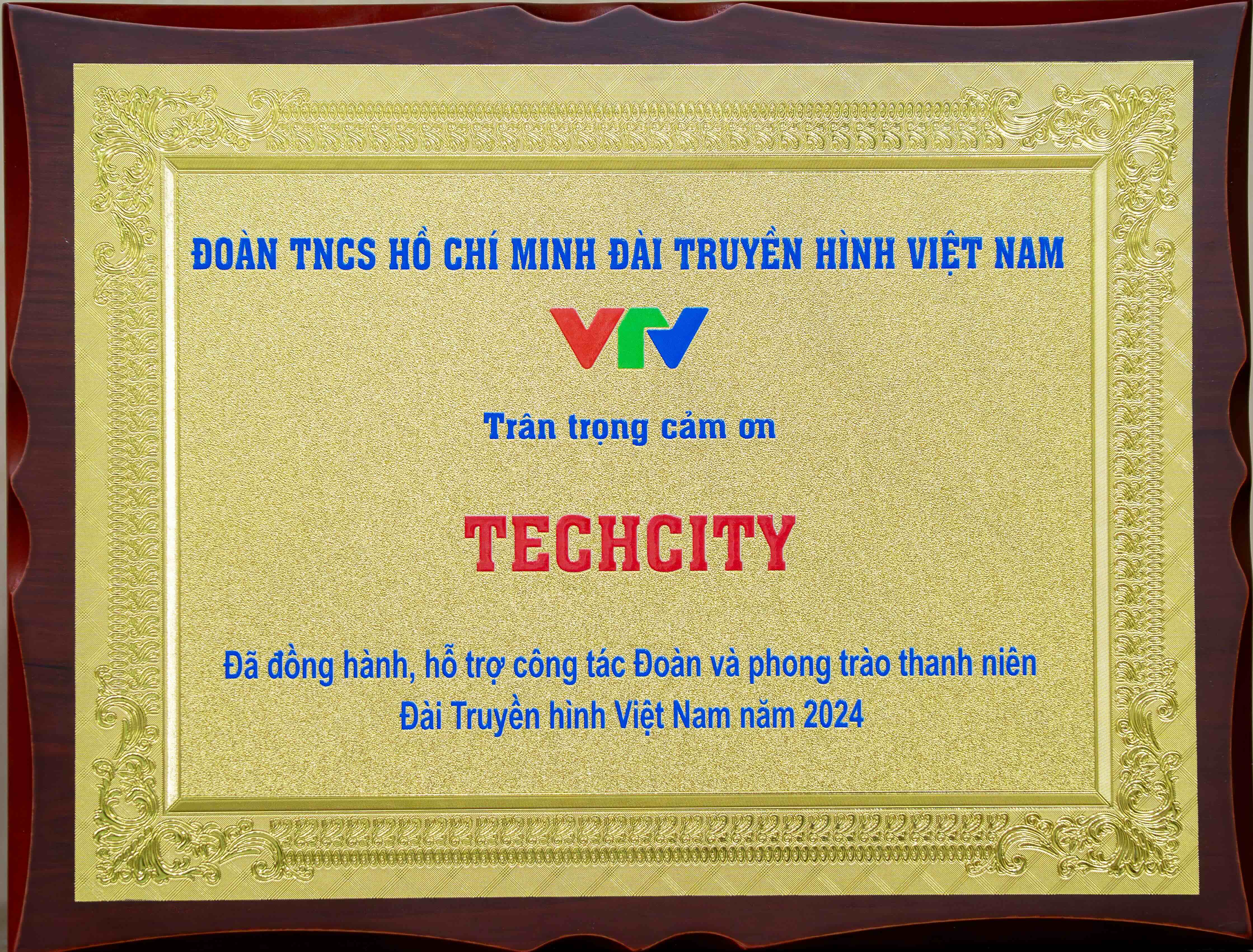 Kỷ niệm chương của VTV 2024